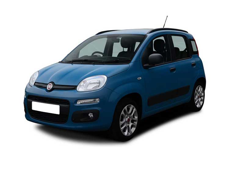 Review of the Model