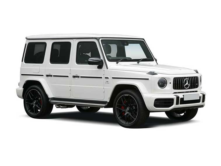 Review of the Model