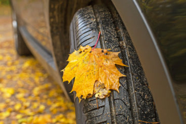 image of a tyre with a yellow leaf resting on the top
