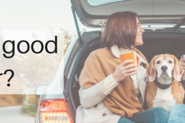 Are you a good driver-
