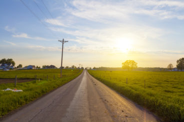 country road - driving in the dark