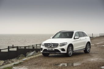 Review of the Model
