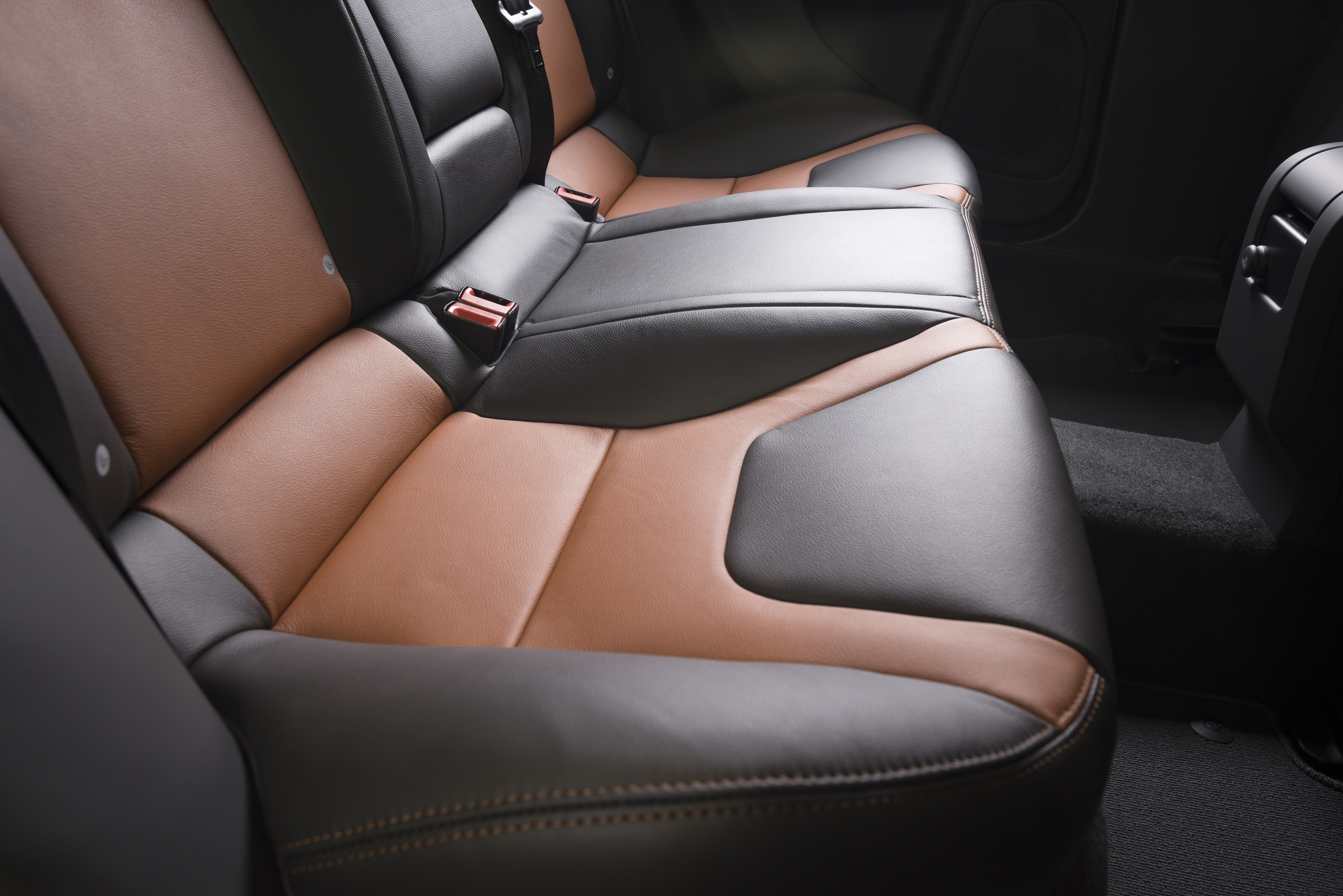 Which vehicles have the most legroom?