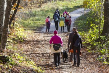 A group of ramblers joining a country road
