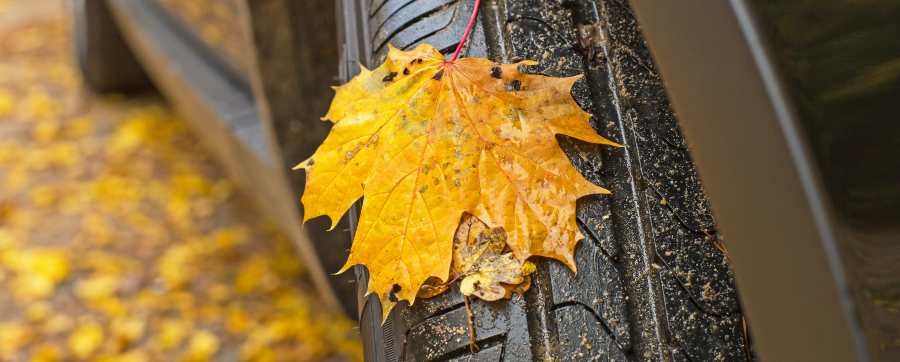 Tyre with autumn leaf on it