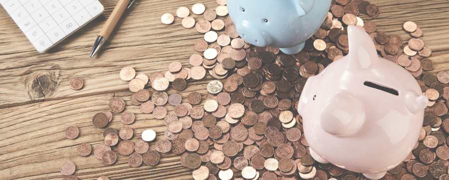 Piggybank and money - guarantor